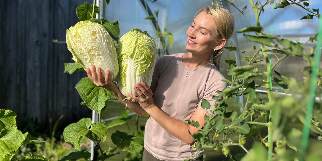 Идеальная пекинская капуста!