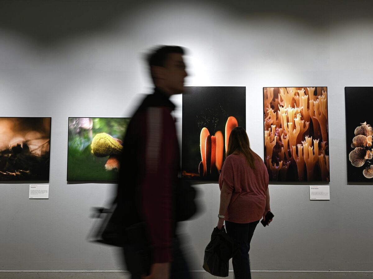    На фотовыставке в рамках XII Общероссийского фестиваля природы "Первозданная Россия" в новой Третьяковке | © РИА Новости / Кирилл Каллиников