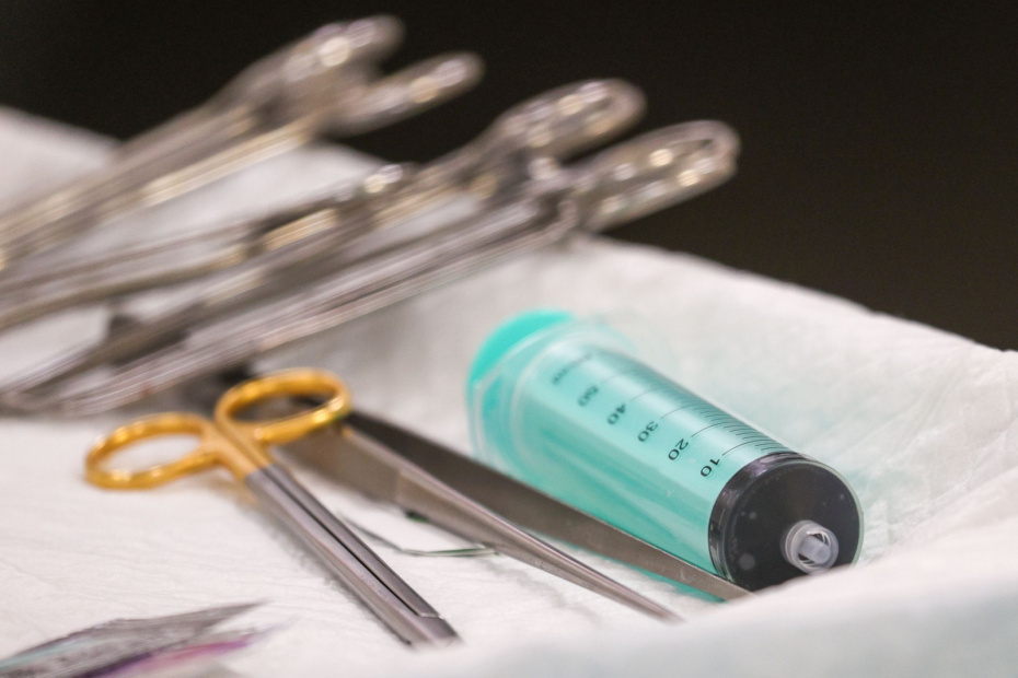    Алексей Белкин/NEWS.ru