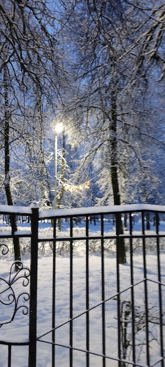 Парк в снегу 