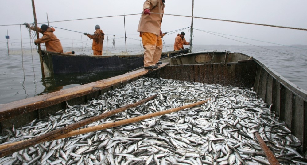 Торговать в убыток государству – национальная российская традиция: это глупость, головотяпство, предательство?