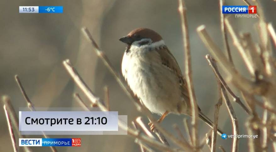    Источник фото: