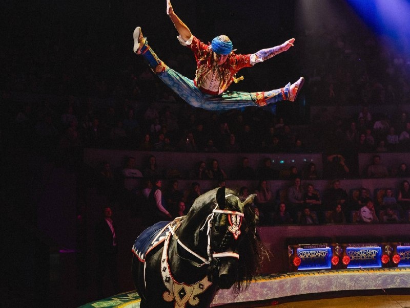    Артист неудачно спрыгнул на манеж со скачущей лошади при выполнении номера \