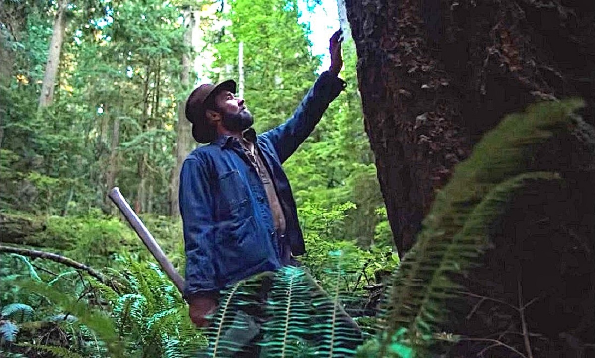 Художник Д. Берёзовый-Кубометров. "Там, где закончился валежник". Древесина, шанцевый инструмент, много свободного времени