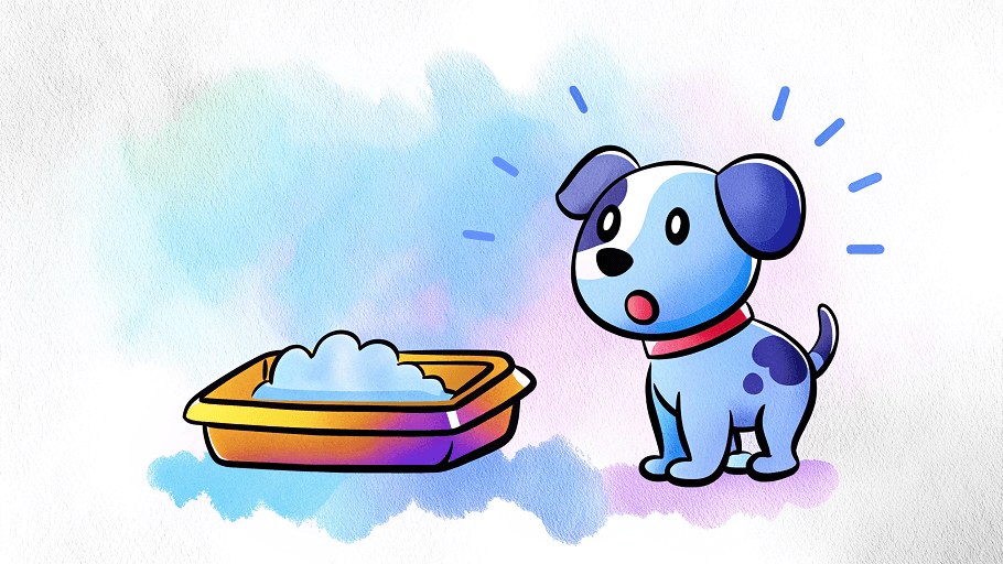 Как приучить щенка к лотку