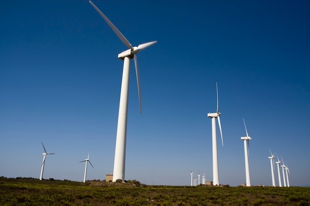 Ветряные мельницы. Источник: https://img.freepik.com/premium-photo/view-field-giant-windmills_69593-5673.jpg