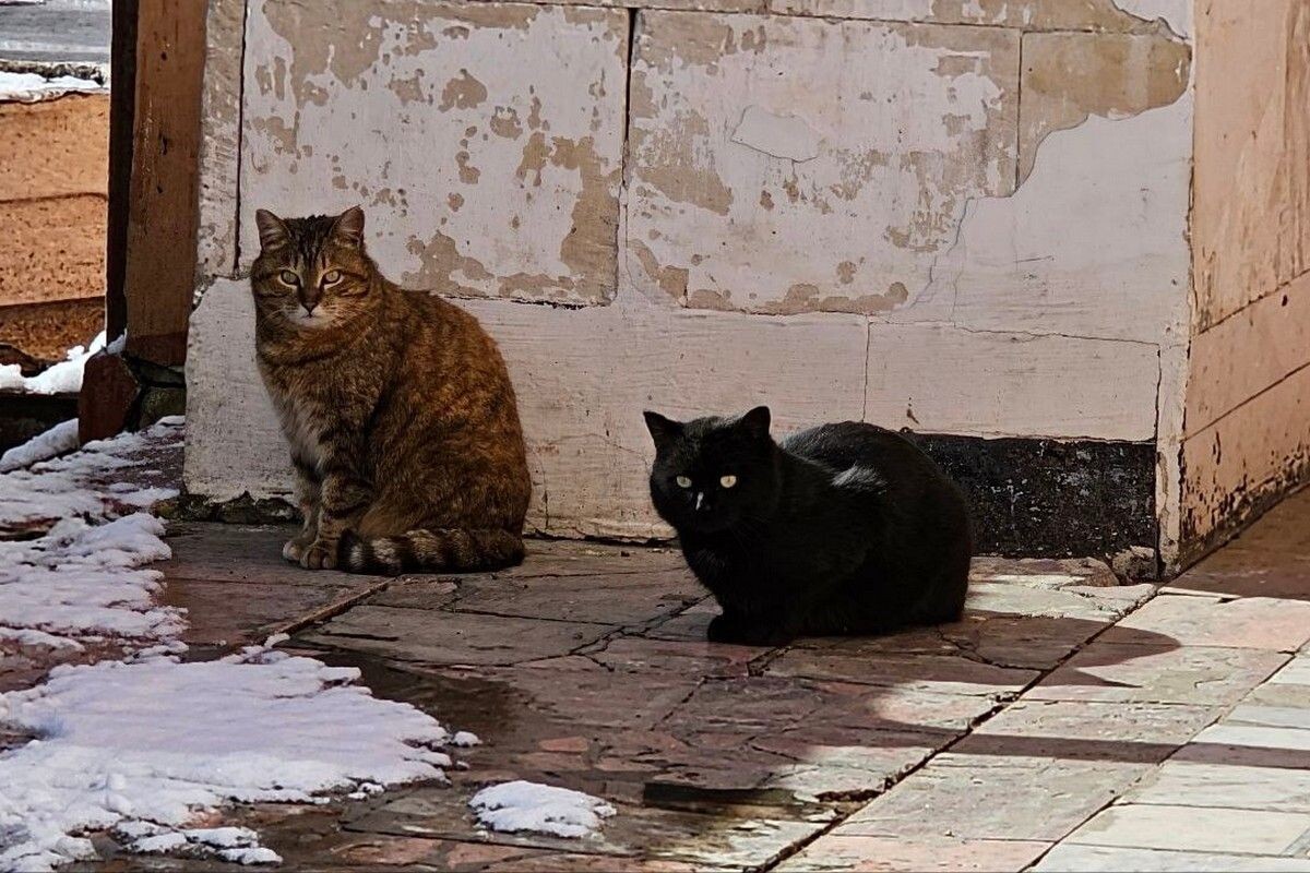 Фото: ИА "Регион71"