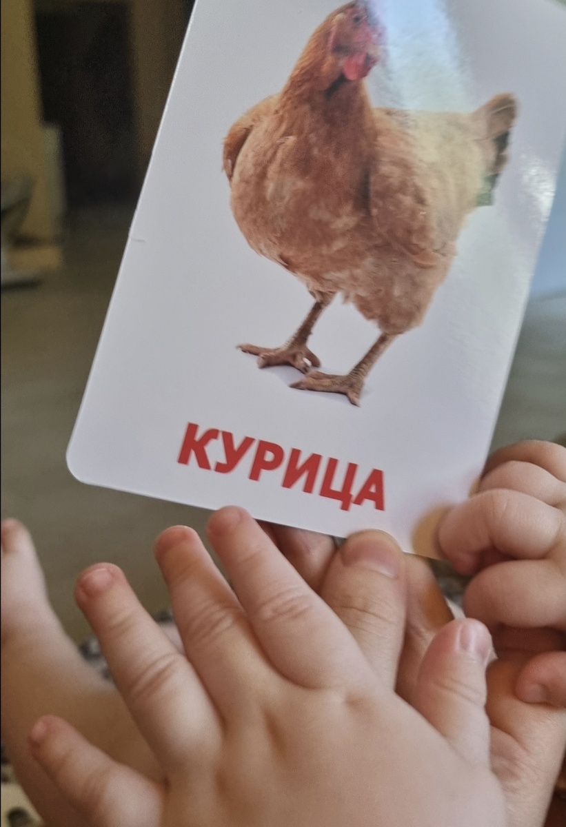 Сына тоже учу куриц правильно с детства выбирать) 