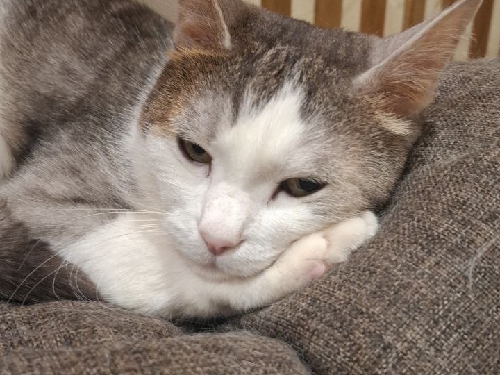 Пять правил хорошего сна