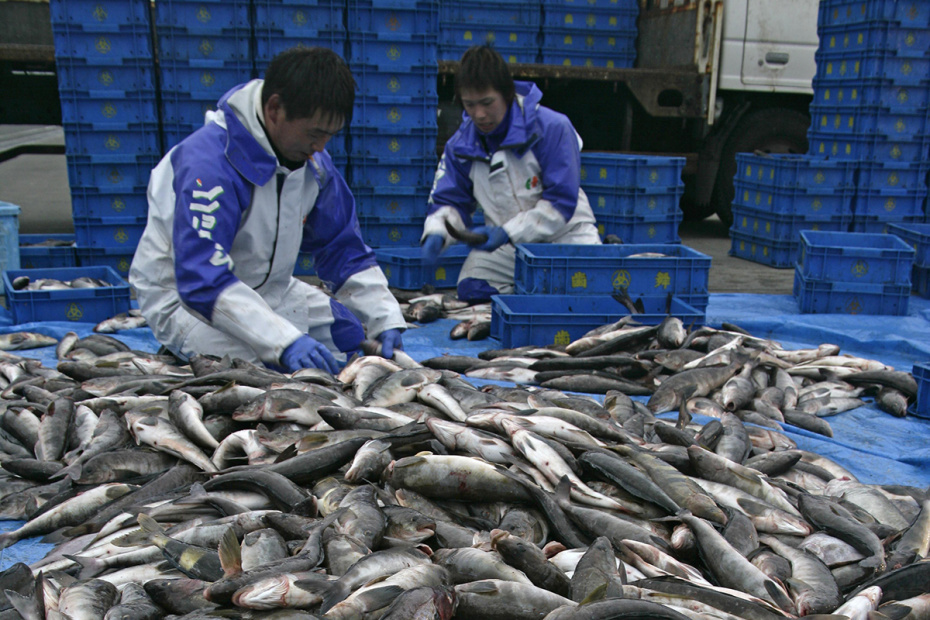    Mike Lane/FLPA/Global Look Press