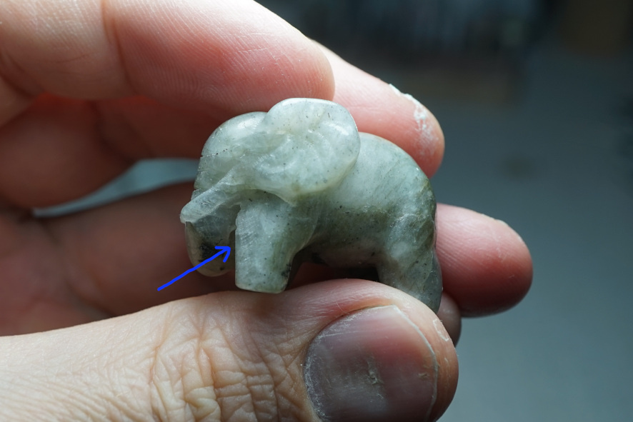 Гребень на левой передней ноге.