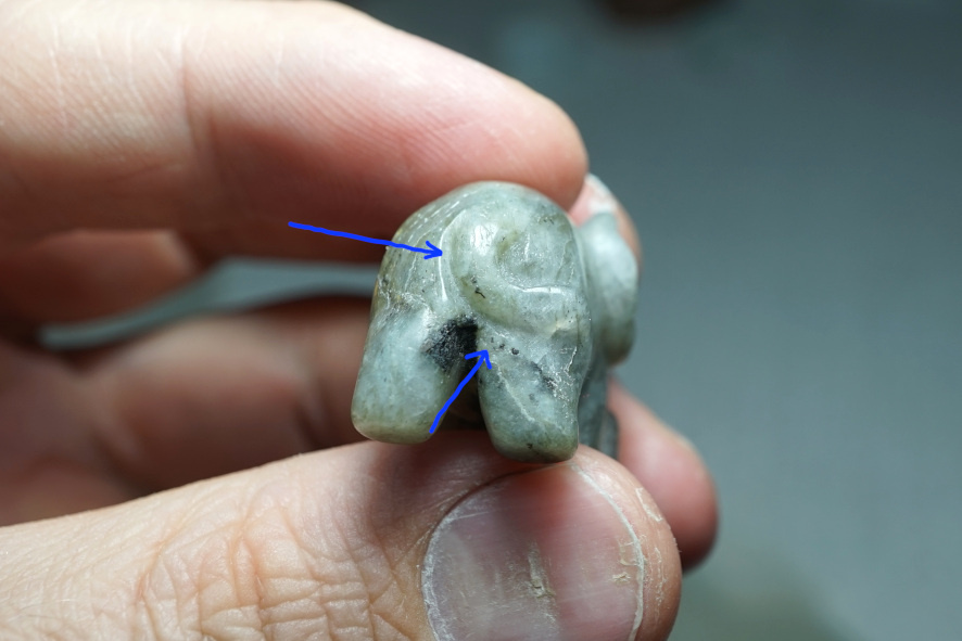 Канавка вдоль хвоста и вытянутая внутренняя поверхность задней левой ноги.