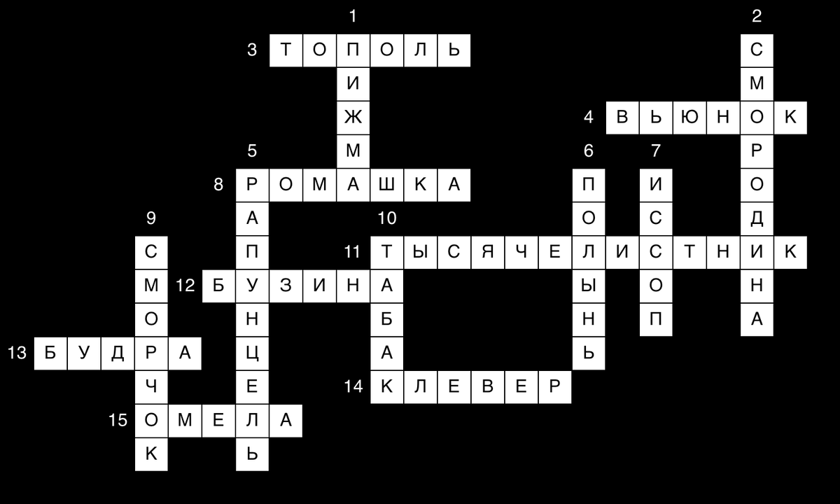 Проверьте себя! 🤓