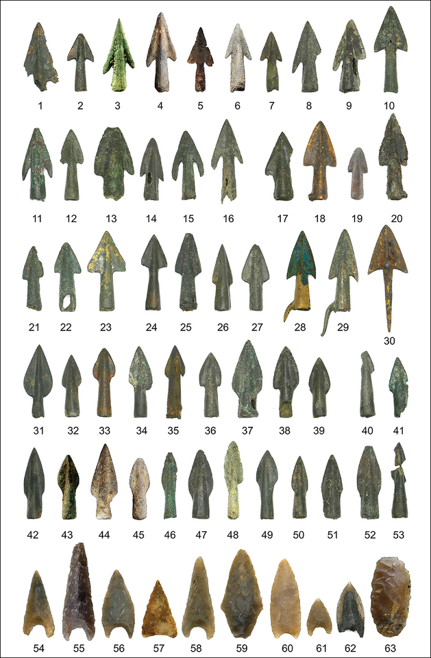 В долине реки Толлензе обнаружены бронзовые и кремневые наконечники стрел.