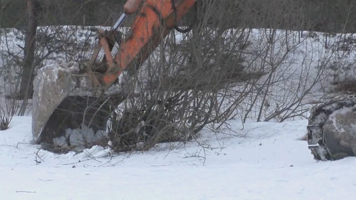 расширяем пляж на склоне пруда