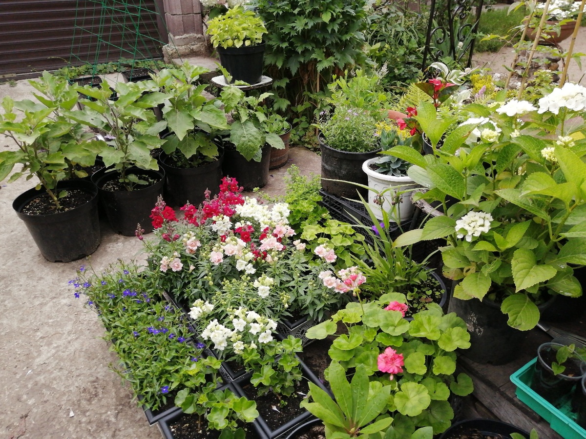 Парковка-2025