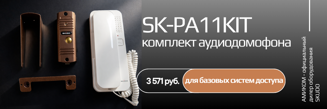 Аудиодомофон SKUDO SK-PA11KIT практичное решение для базовых систем доступа