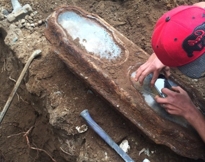 Девочка, которая не умерла: как тело 1876 года встало поперёк стройки в Сан-Франциско