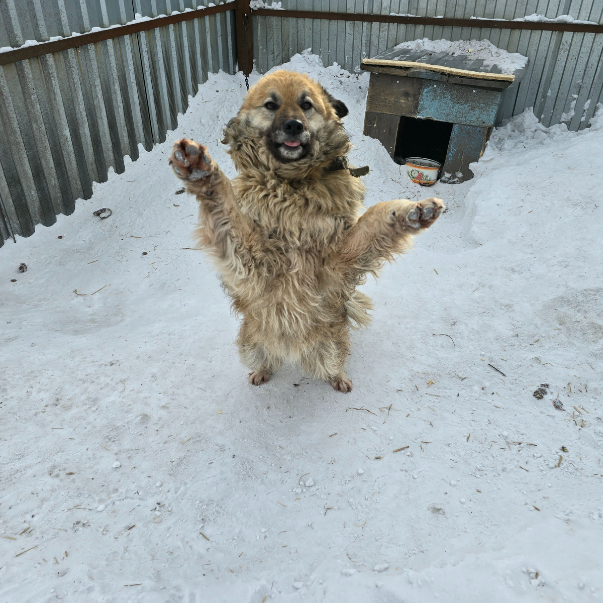 радость несмотря на всю боль мира
