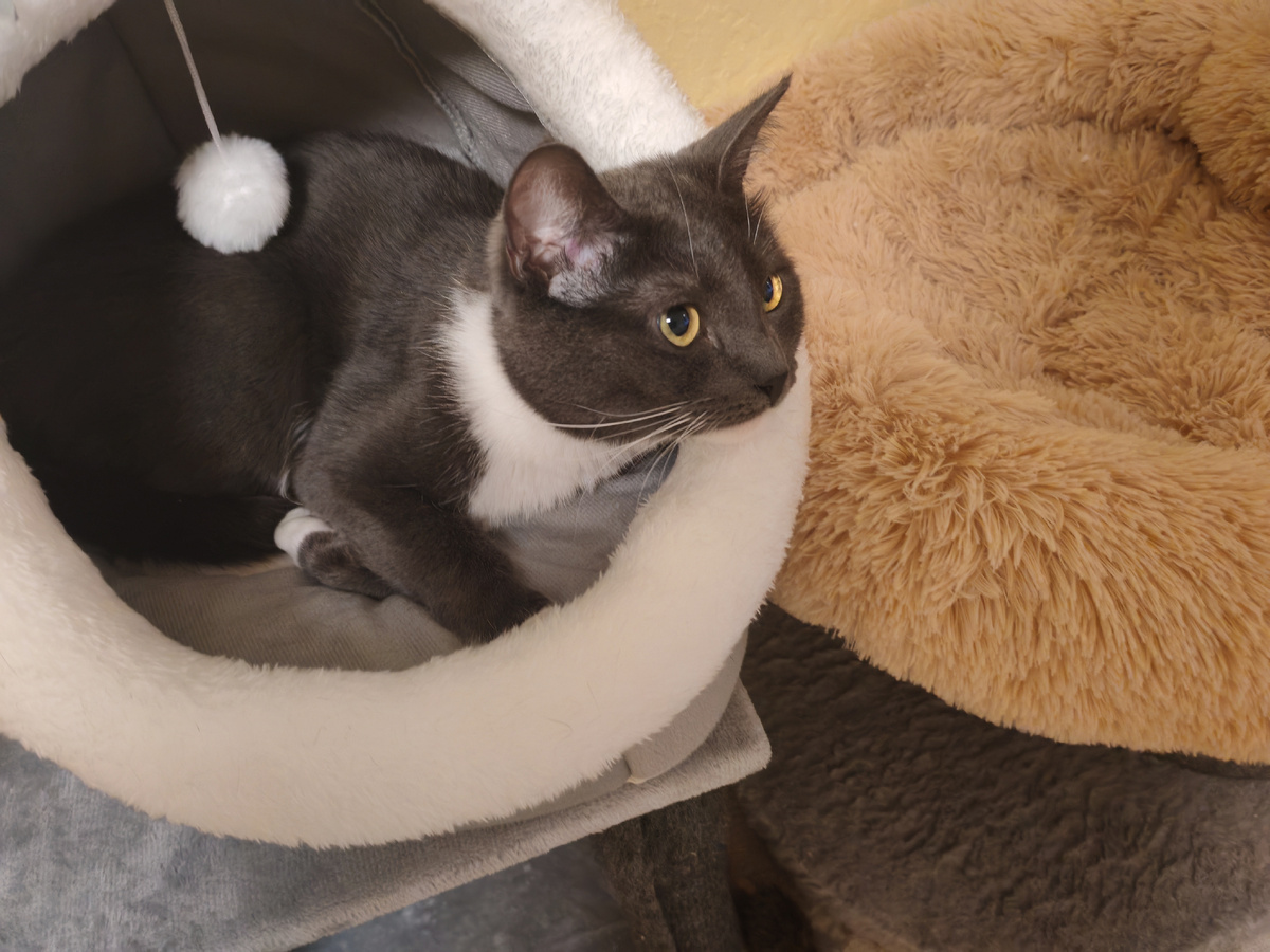 Будьте счастливы 