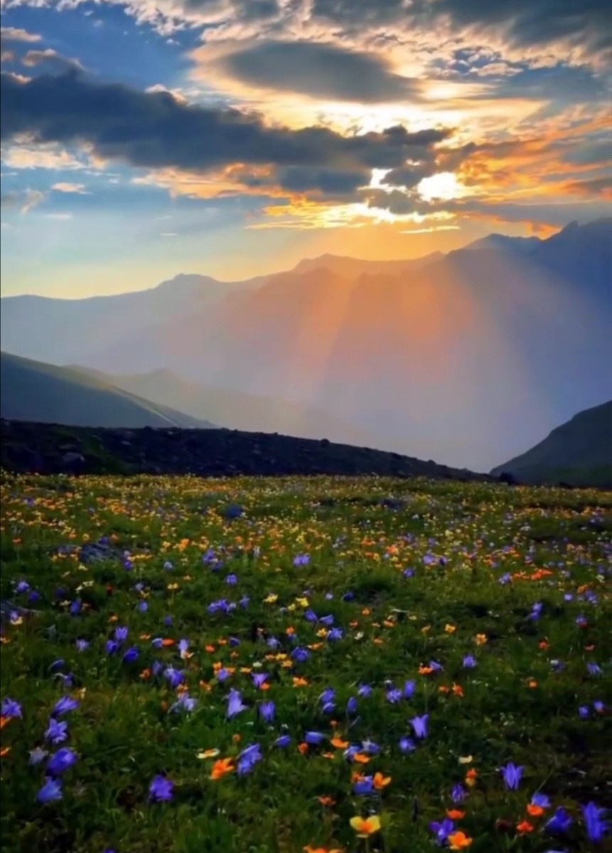 Когда человек постоянно внутри себя всем недоволен, он токсичен и для окружающих, так как фильтр восприятия его искажен: он видит лишь негатив в мире и не слышит других, его все раздражает.Почему так происходит?