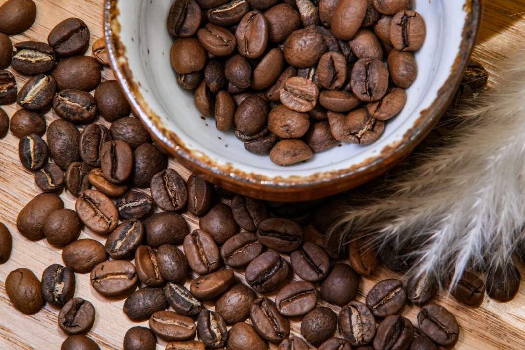 Фото: ИЗВЕСТИЯ/Сергей Лантюхов