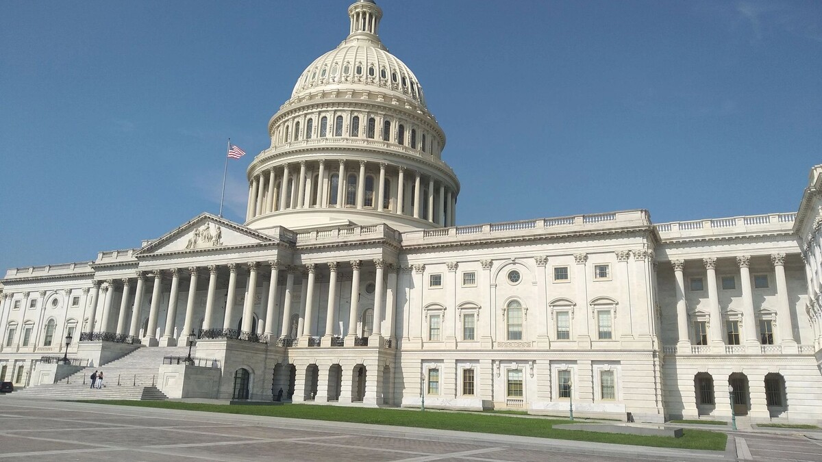    Фото: diegomartin_toledo/Shutterstock/Fotodom