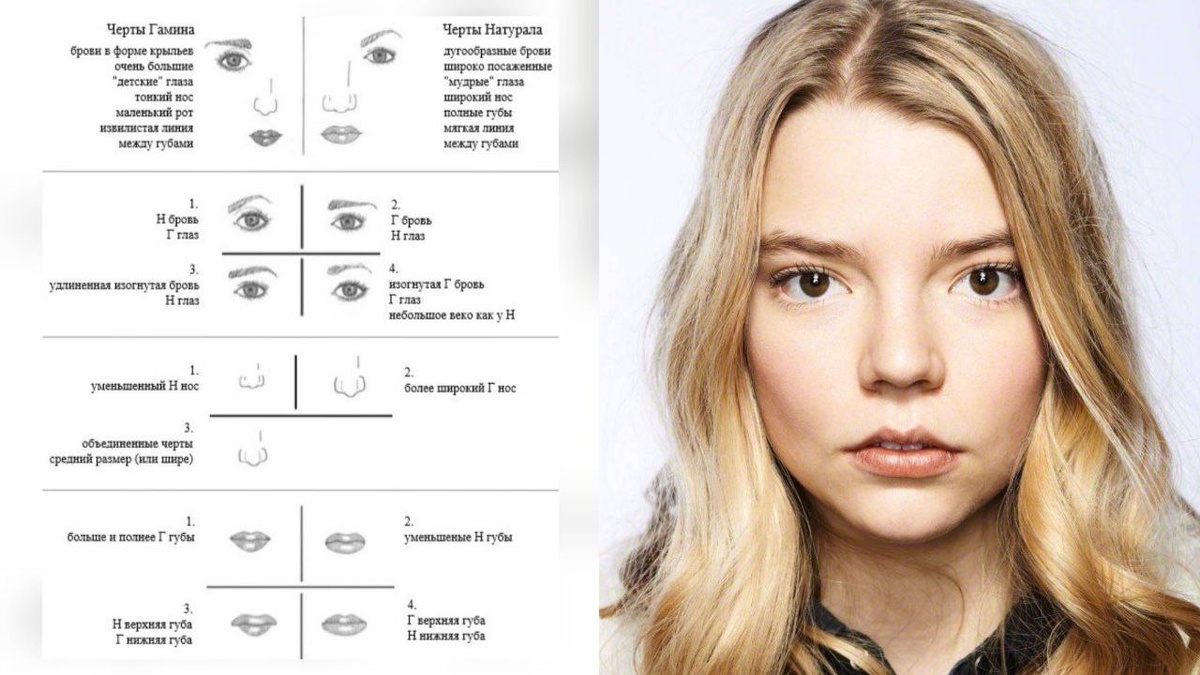 Аня Тейлор‑Джой + схема из книги Двин Ларсон