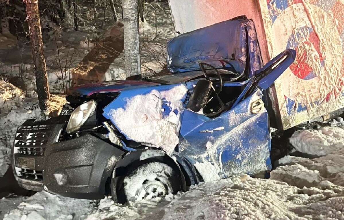    фото: © Госавтоинспекция Карелии