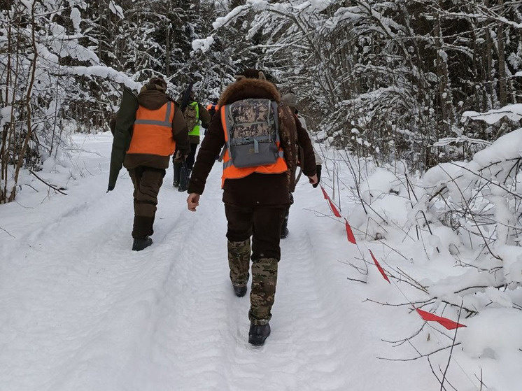     В этом году зима создает трудности в охоте на волков. фото со страницы ВКонтакте председателя комитета охотничьего хозяйства и рыболовства Новгородской области Дмитрия Графова
