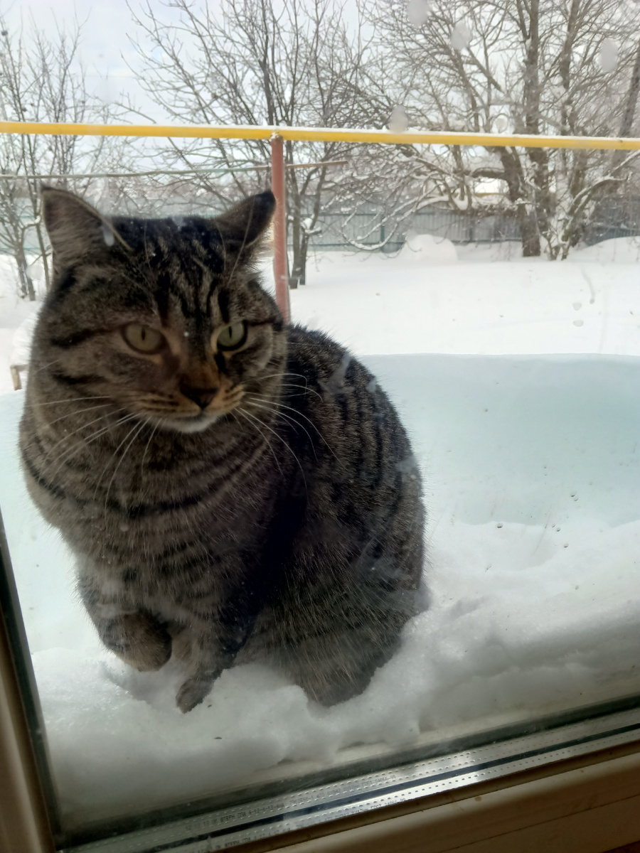 Моя односельчанка Варвара