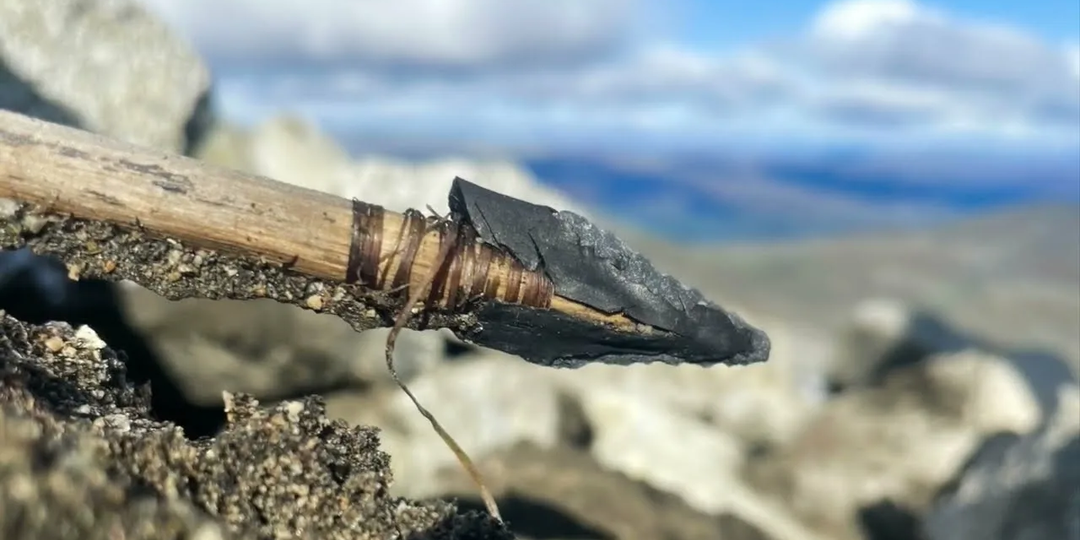 От ящеров до сибирской язвы: история оживает прямо сейчас в тающей Арктики