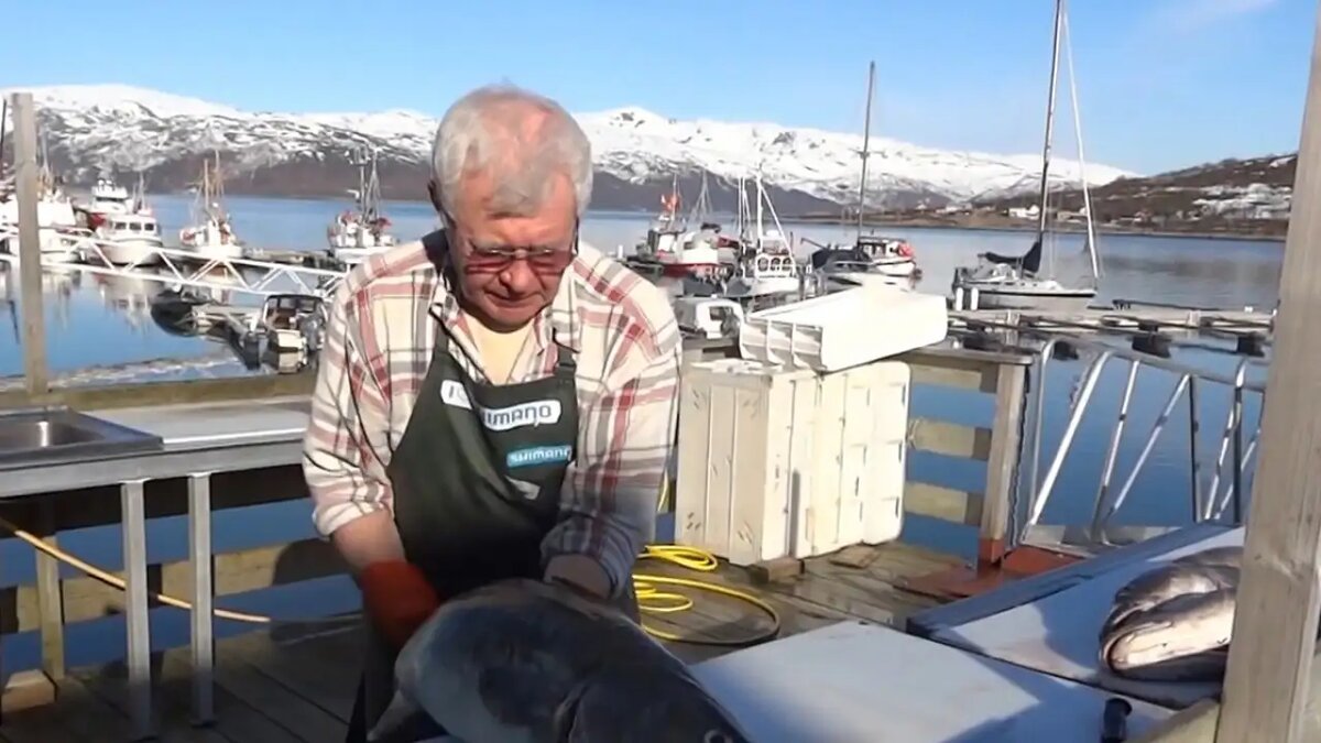    Вылов трески. © youtube.com