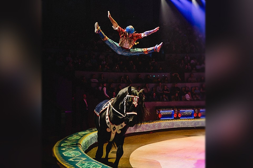    Акробат Александр Богатырев сломал ногу во время выступления в Нижнем Новгороде. Фото: Продюсерский центр "Королевский цирк Гии Эрадзе"