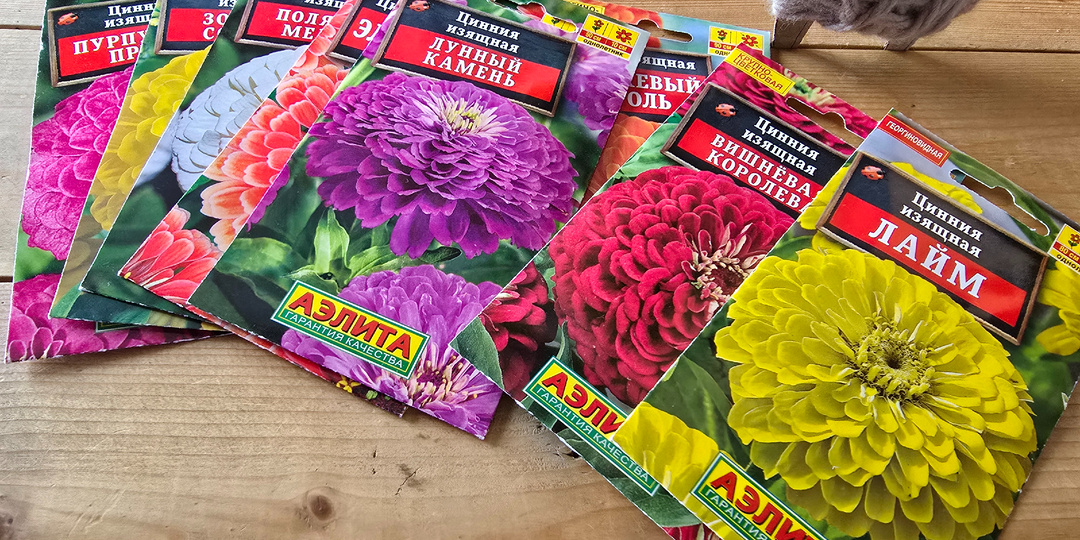 Готовлюсь к новому сезону. Семена. Цветы под срез - цинния!