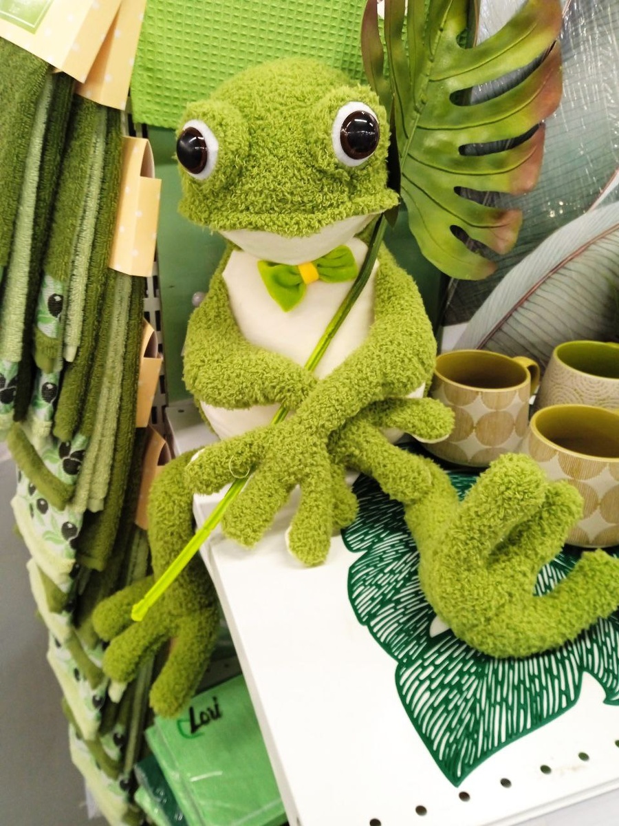 Фото для обложки