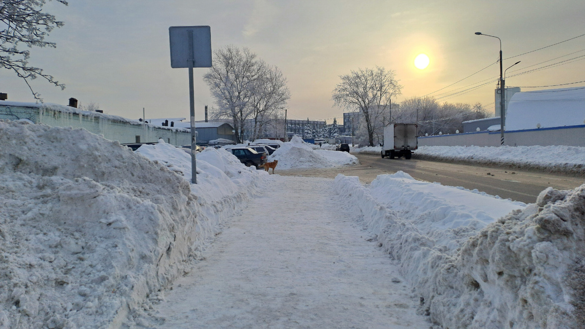 Жду автобус