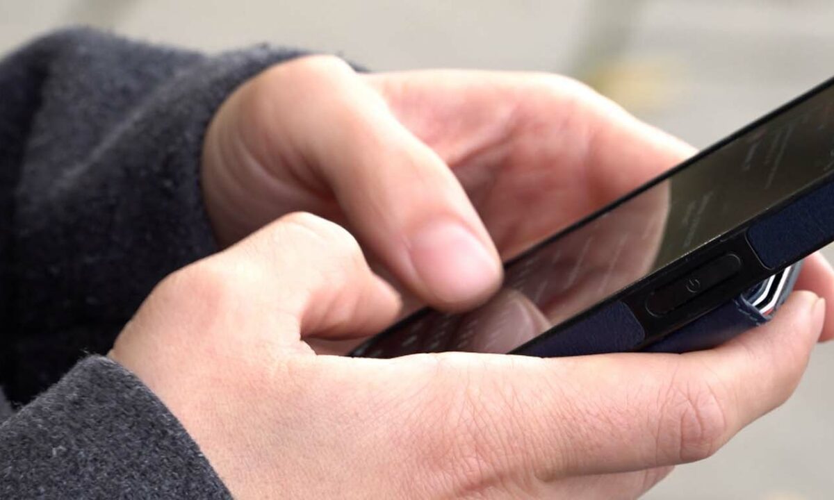    Скриншот видео телеканала «Кубань 24»