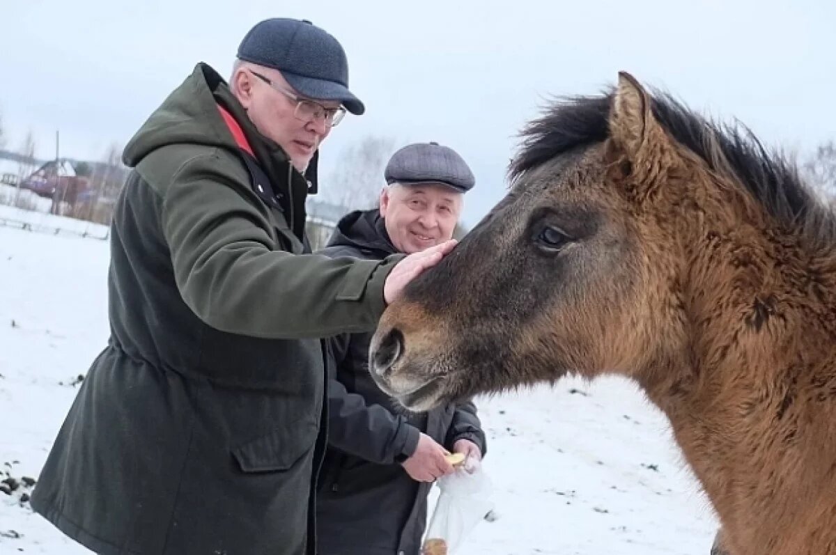    Александр Соколов стал лидером рейтинга чиновников Кировской области