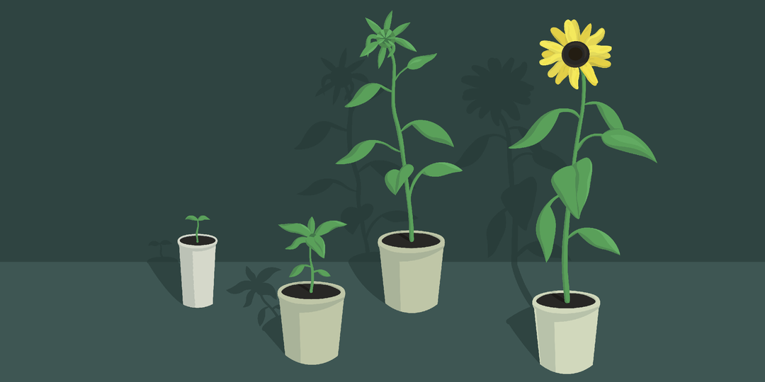 Как выбрать программу повышения квалификации для руководителей и не прогадать