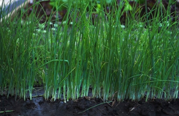 Источник фото shutterstock.com