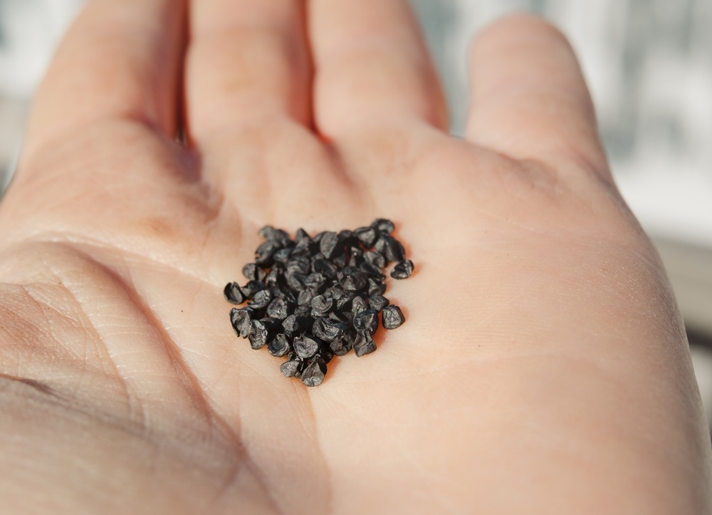 Источник фото shutterstock.com