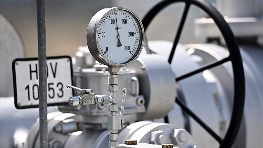    Фото: TASS/SVEN SIMON