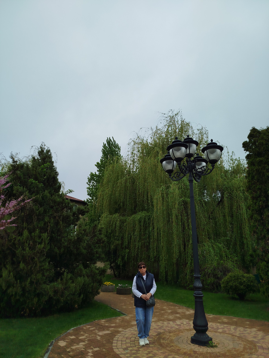 Фото автора.