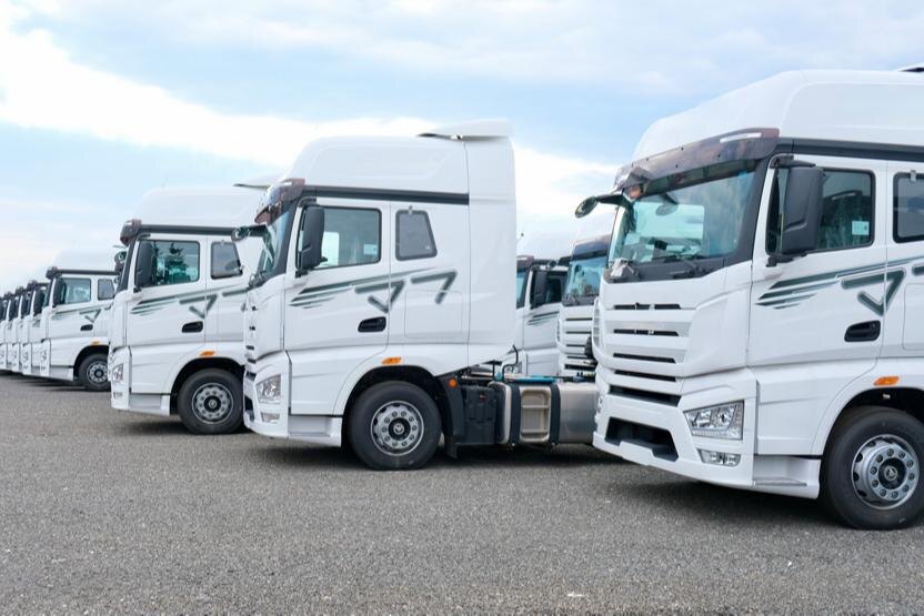     © Терехова Марина / Фотобанк Лори