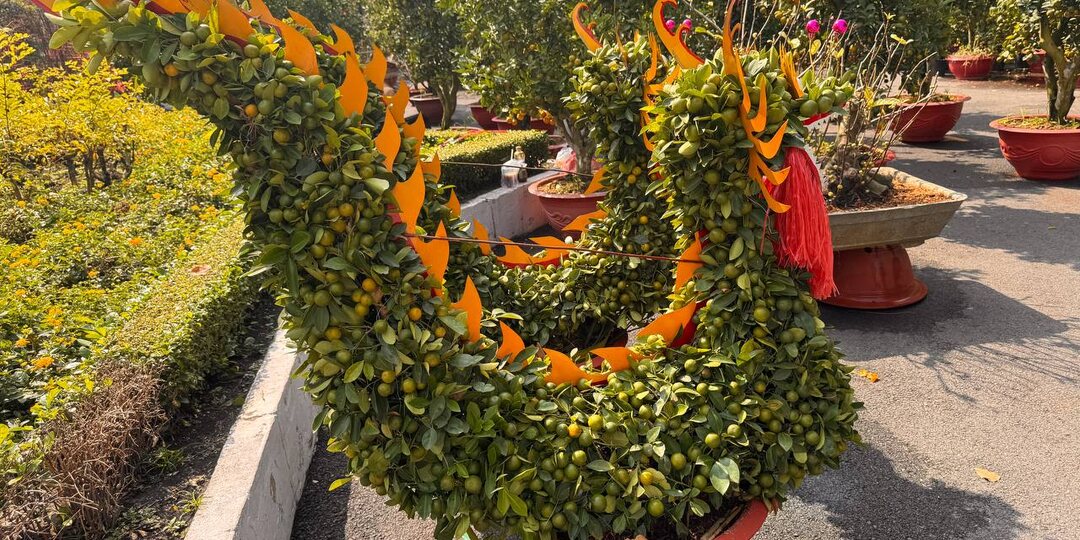 Вьетнам готовится встречать Новый год