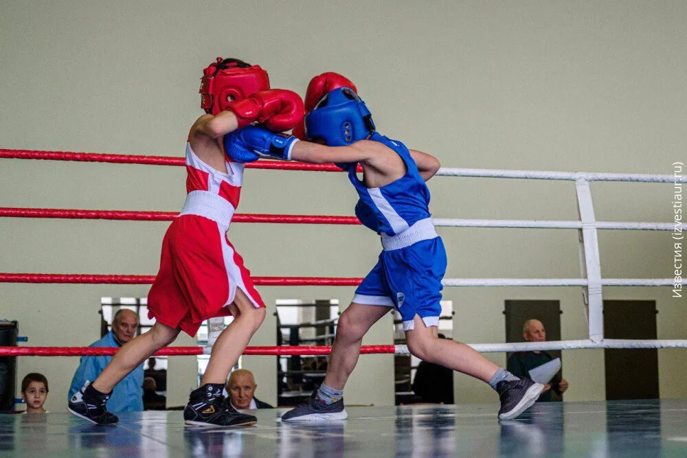 Бокс - это всегда красиво!
