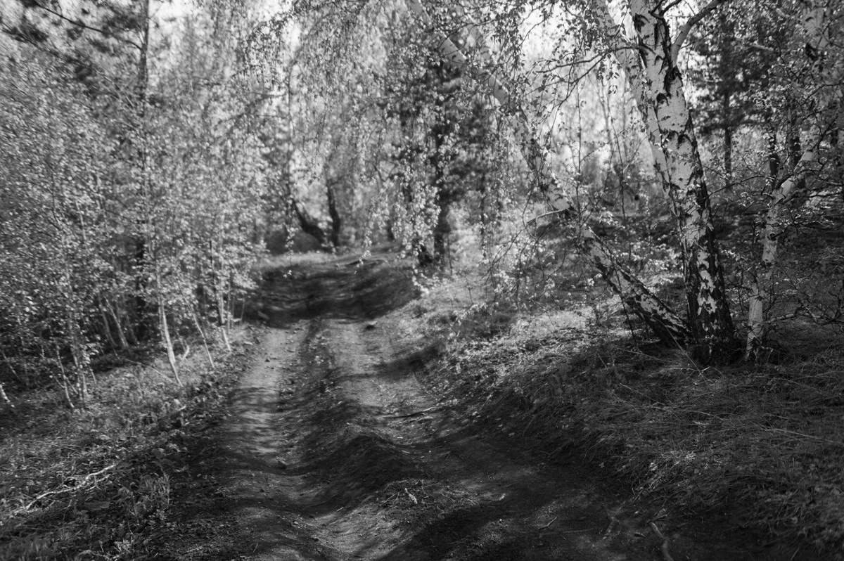 Торгашинский хребет. Красноярск.