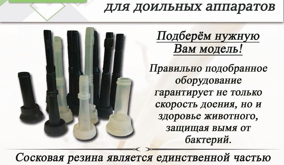 Добрый день