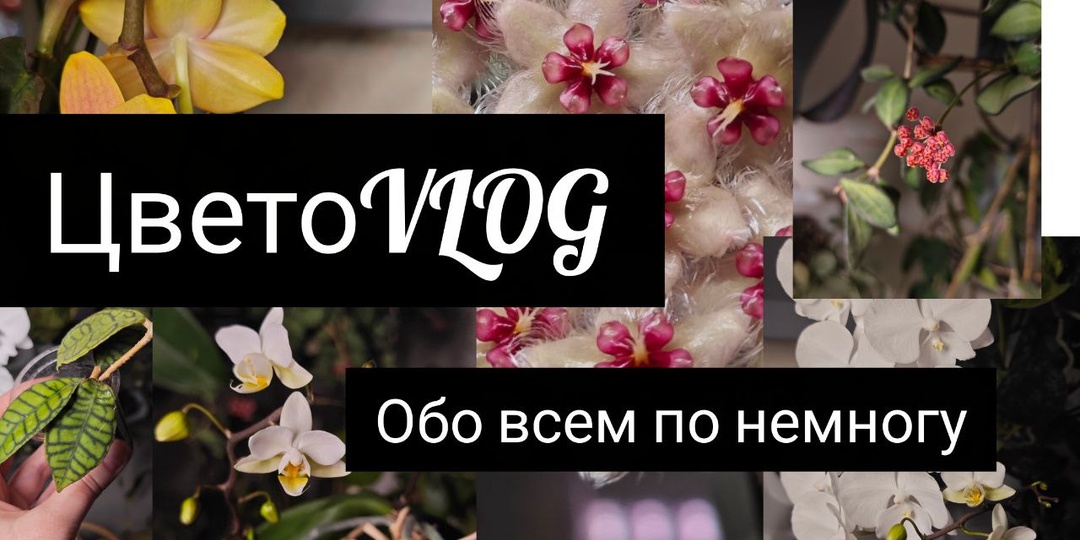 Доброе утро! Видосик к чашечке кофе или чая